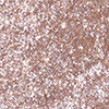 Тіні для повік INGLOT Shimmer Glow Eyeshadow ROSE GOLD 53