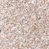thumbnail Тіні для повік INGLOT Shimmer Glow Eyeshadow SILVER GLAM 54